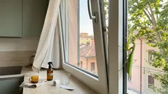 Mantide gigante asiatica in casa: cosa la attira davvero e come gestirla in modo sicuro